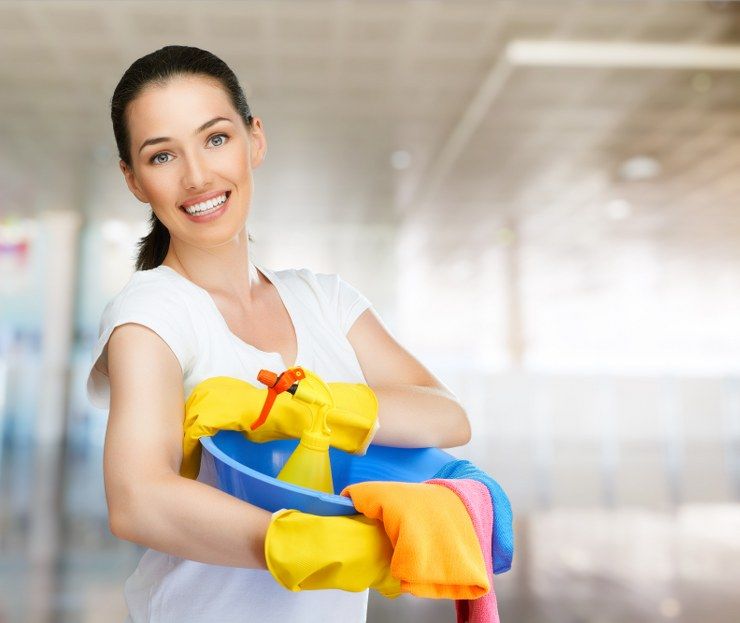 domestic cleaning preparations