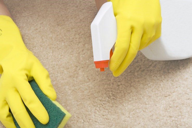 Carpet Cleaners