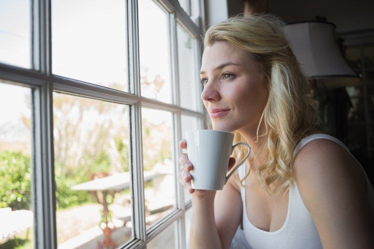 window maintenance