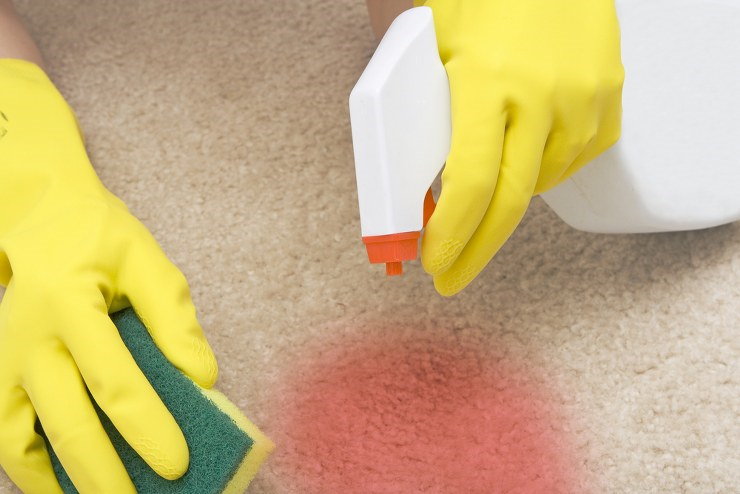 cleaning carpets