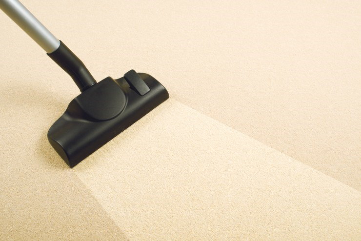 carpet clean