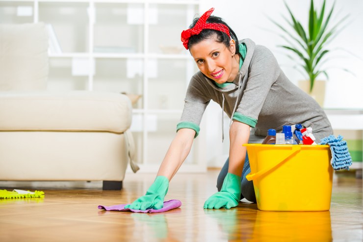 house cleaners