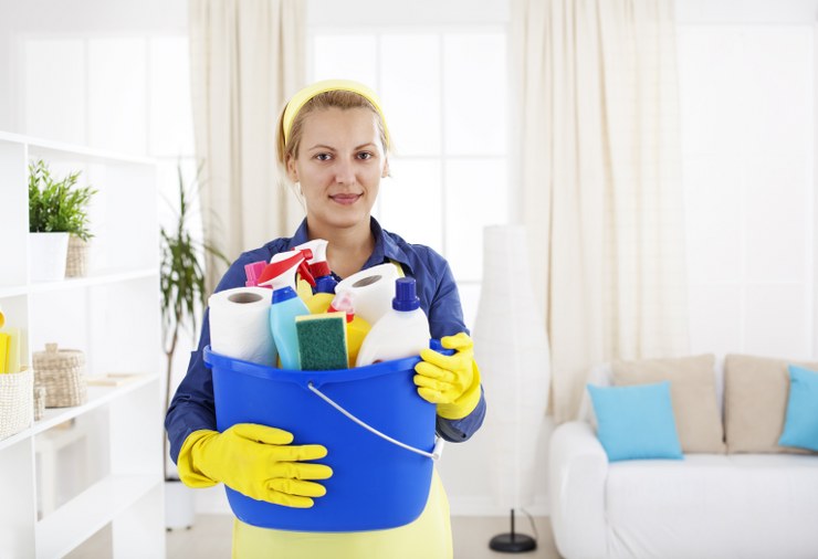 domestic cleaners