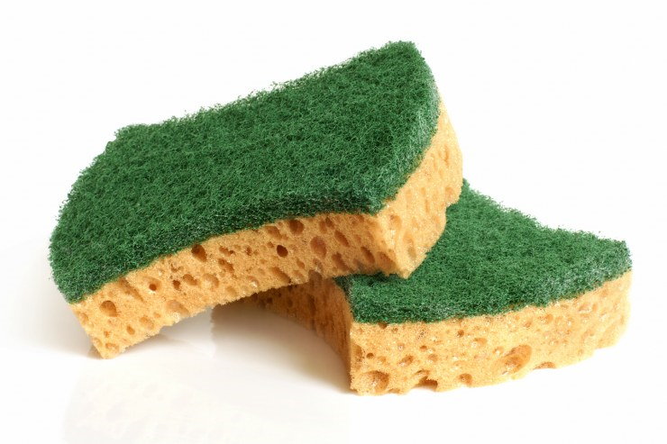 sanitise sponges