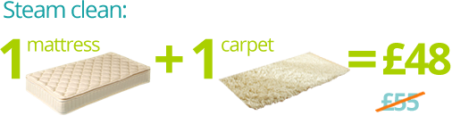 Steam Mattress and Carpet Cleaning for Just £48