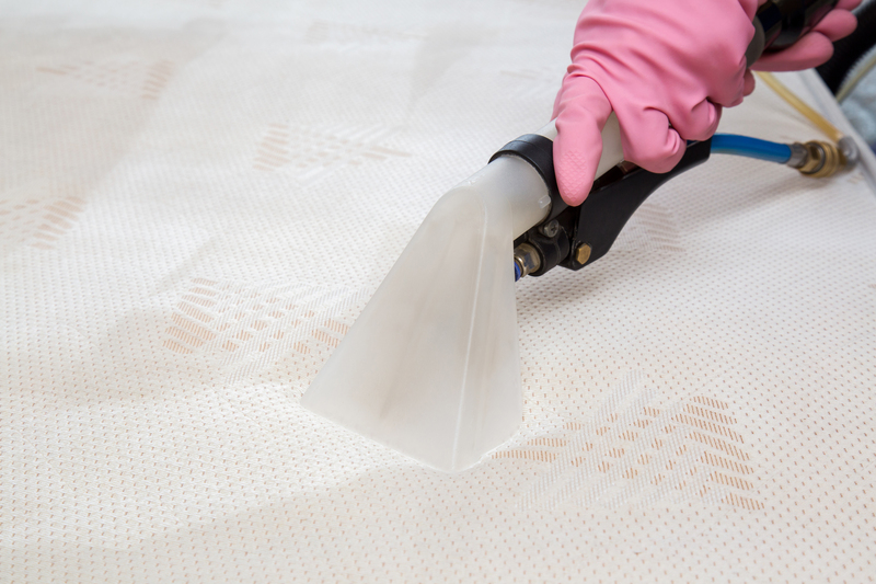 carpet cleaning eco-friendly