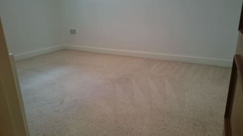 Professional Cleaning Services