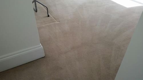 Carpet Cleaning St Albans AL1 Project