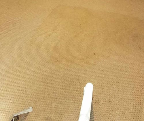 Carpet Cleaning St Albans AL1 Project