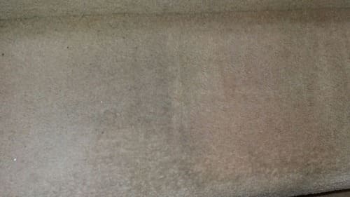 Carpet Cleaning Southborough BR2 Project