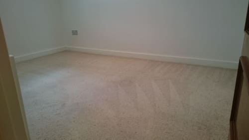 Carpet Cleaning Eden Park BR3 Project