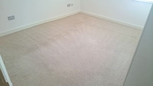 Carpet Cleaning Eden Park BR3 Project