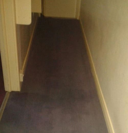 Carpet Cleaning Purley CR8 Project