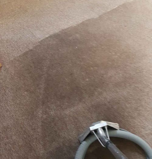 Carpet Cleaning Kenley CR8 Project