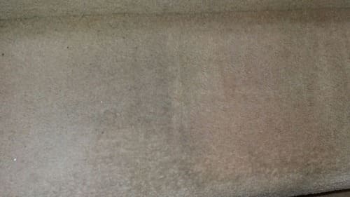 Carpet Cleaning South Woodford E18 Project
