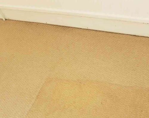 Carpet Cleaning Bow E3 Project
