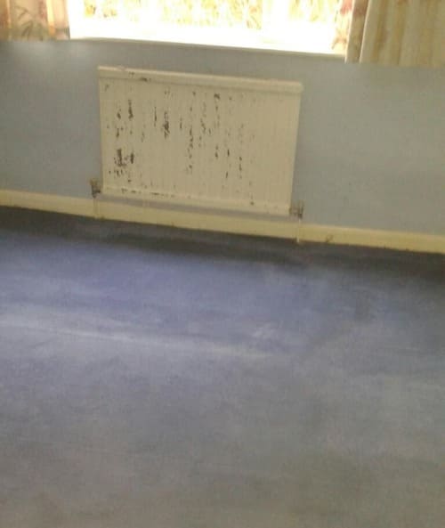 Carpet Cleaning Hatch End HA5 Project