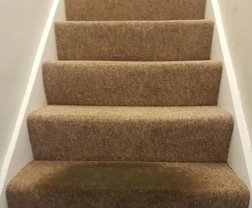 Carpet Cleaning Ewell KT17 Project