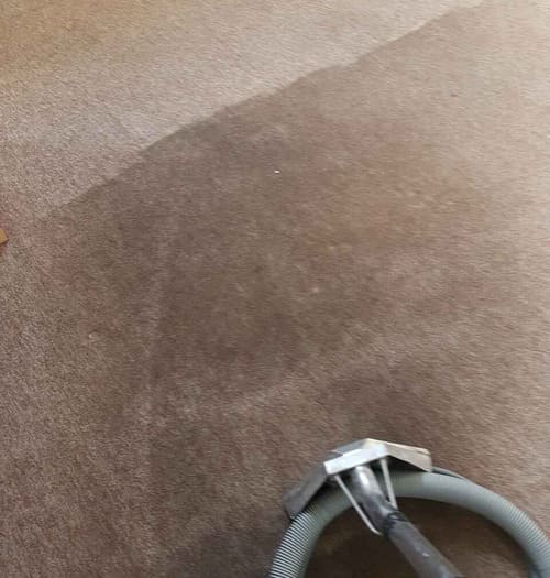 Carpet Cleaning Hoxton N1 Project
