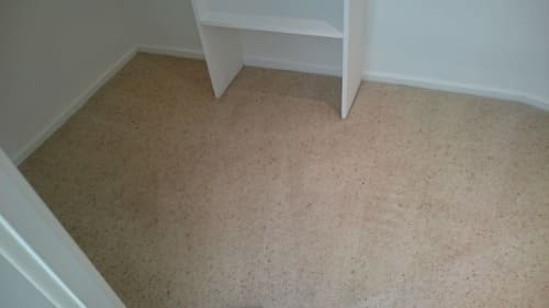 Carpet Cleaning Manor House N4 Project