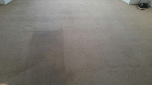 Carpet Cleaning Gospel Oak NW5 Project