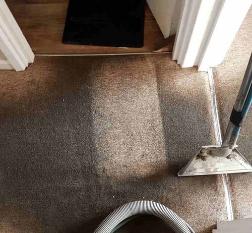 Carpet Cleaning Brondesbury NW6 Project