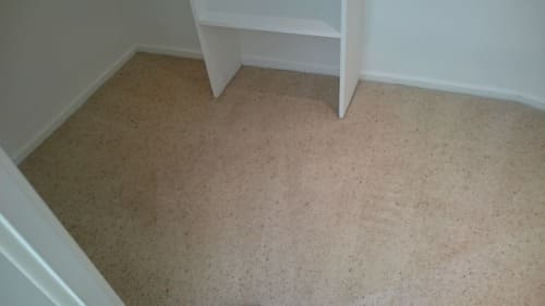 Carpet Cleaning Penge SE20 Project