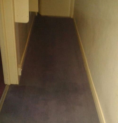 Carpet Cleaning Oxford Street W1 Project