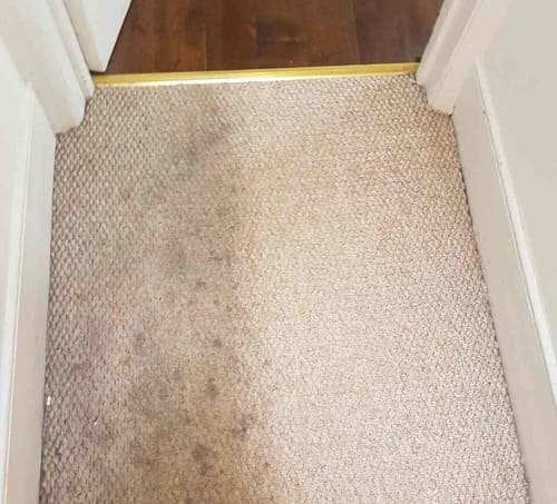 Carpet Cleaning Baker Street W1 Project