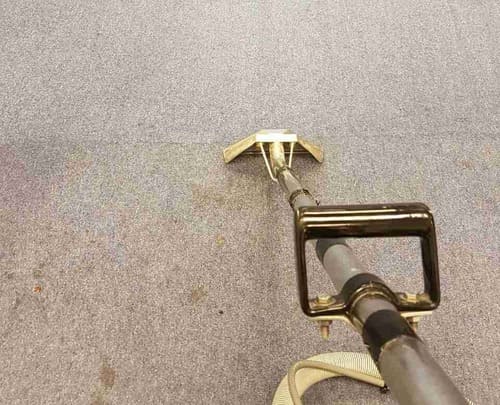 Carpet Cleaning Acton W3 Project