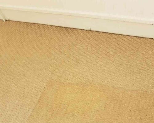 Carpet Cleaning Harpenden WD3 Project