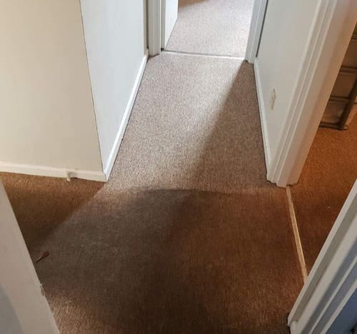 Carpet Cleaning Watford WD18 Project